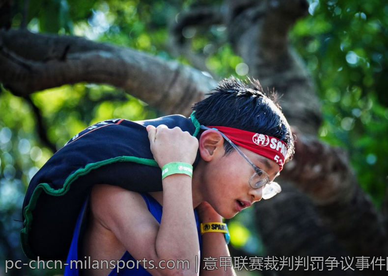 意甲联赛裁判判罚争议事件回顾